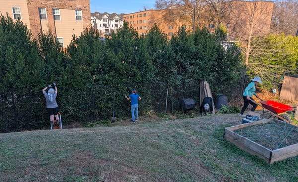 Neighbors Tackle Garden To-Do List