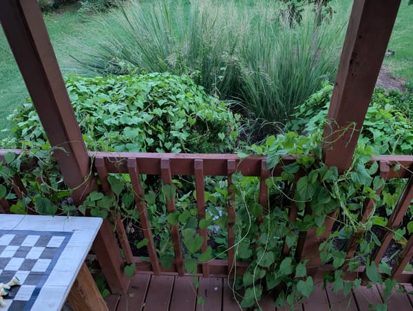 Return of the Invasion of the Vines from Outer Space!